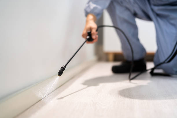 Licensed Exterminator service in Sayre, OK - Show Me Pest Control