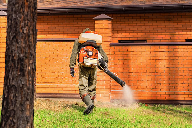Bed Bug Clearance Verification and Documentation in Sayre